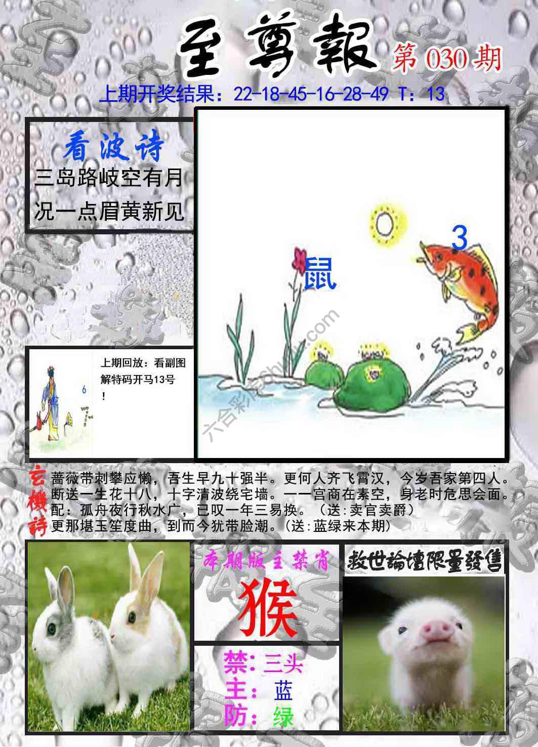 至尊报
