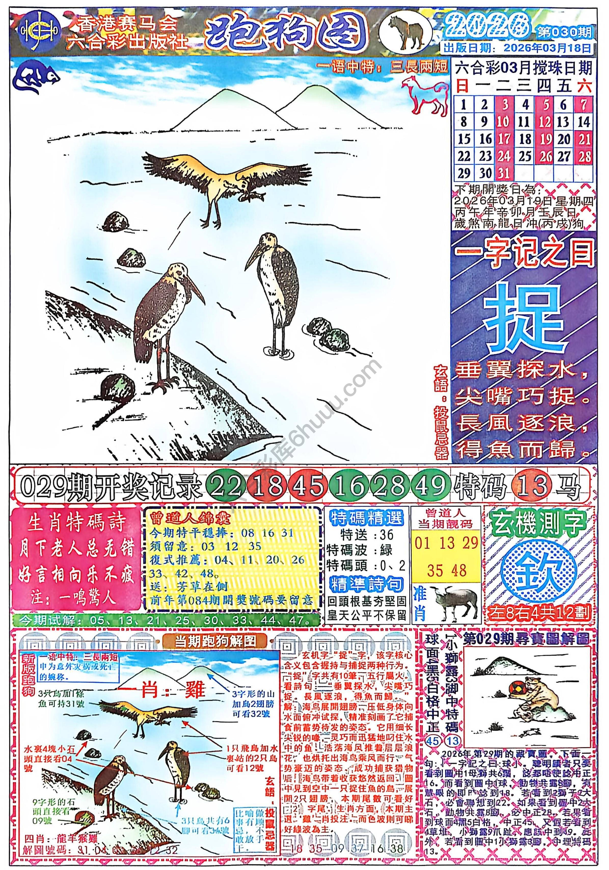 赛马会跑狗图