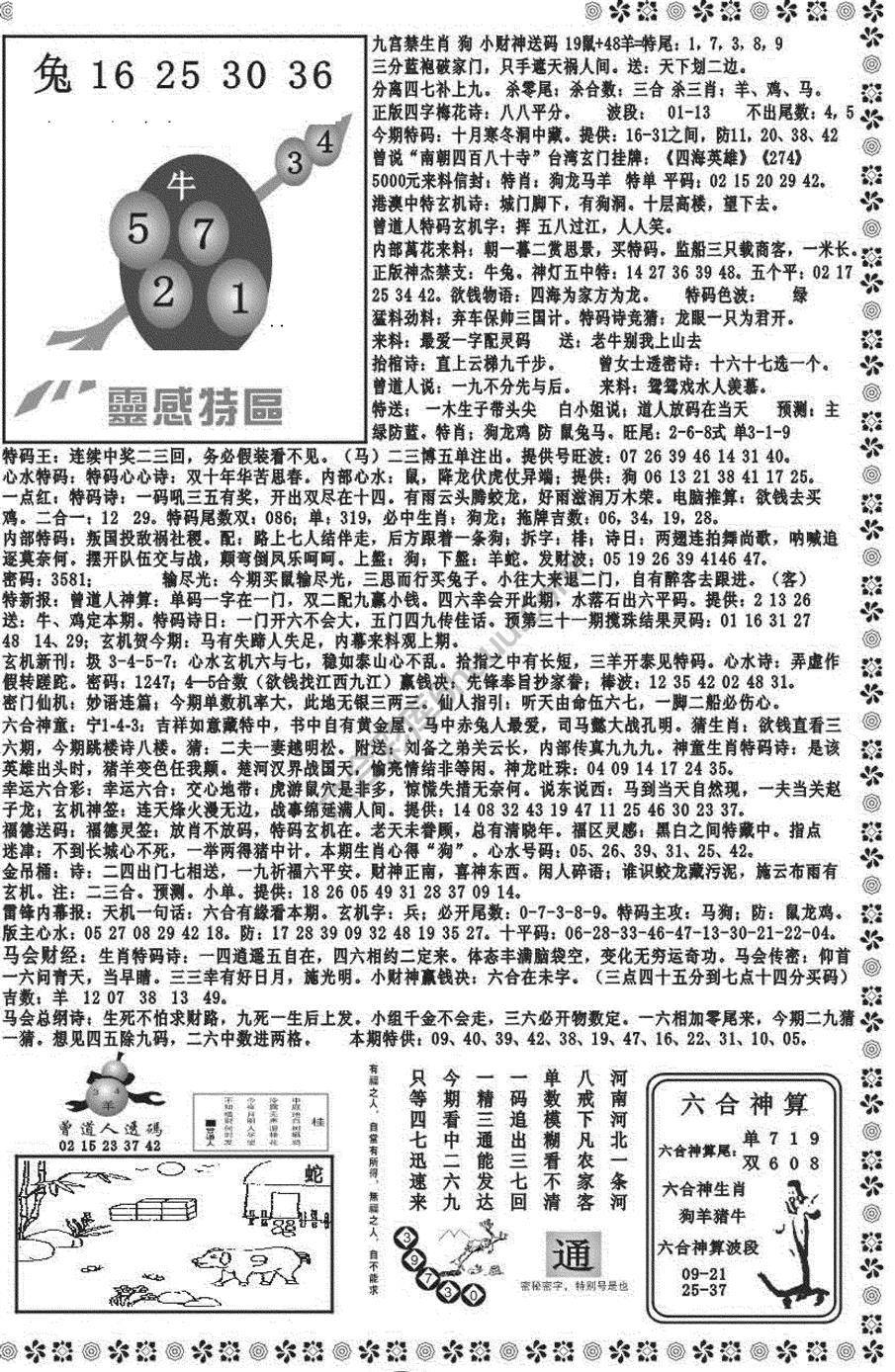 新香港彩霸王