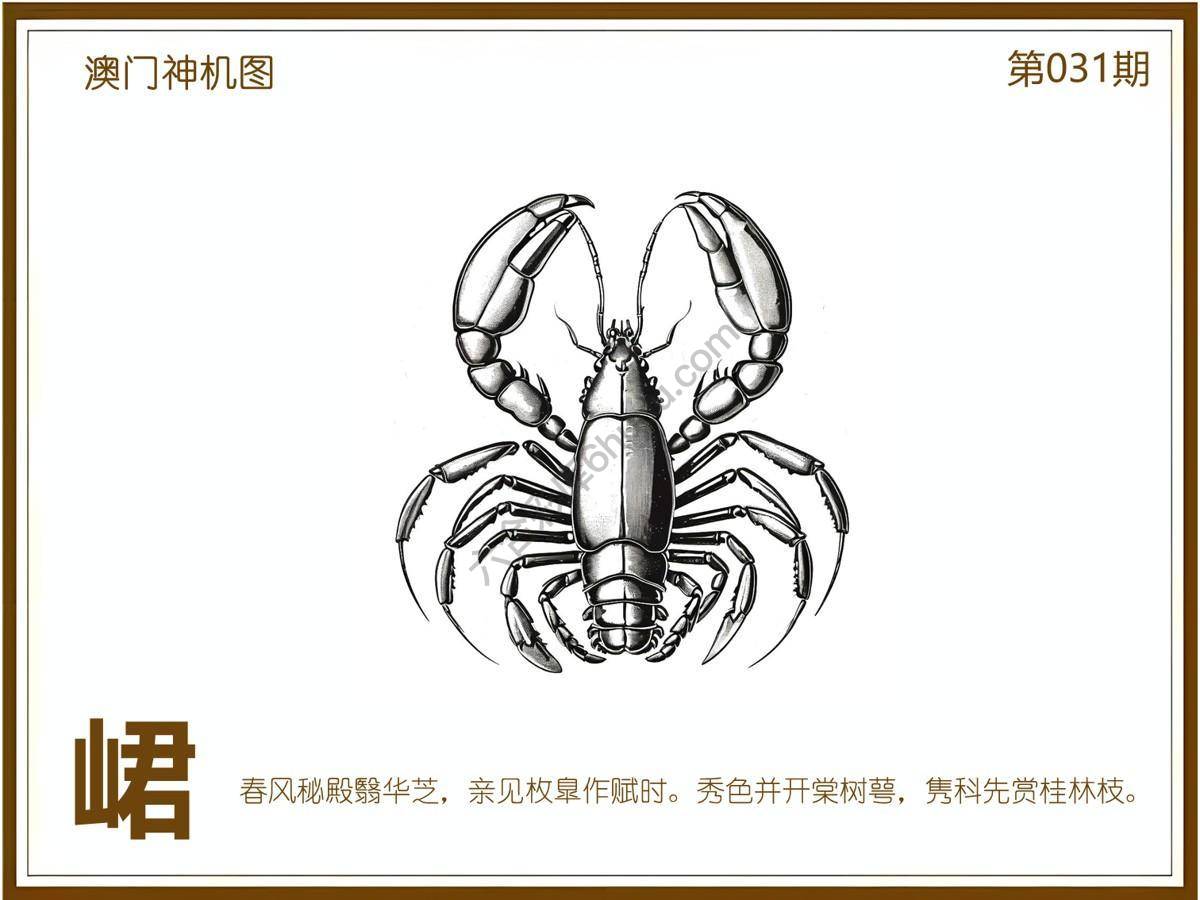 澳门神机图