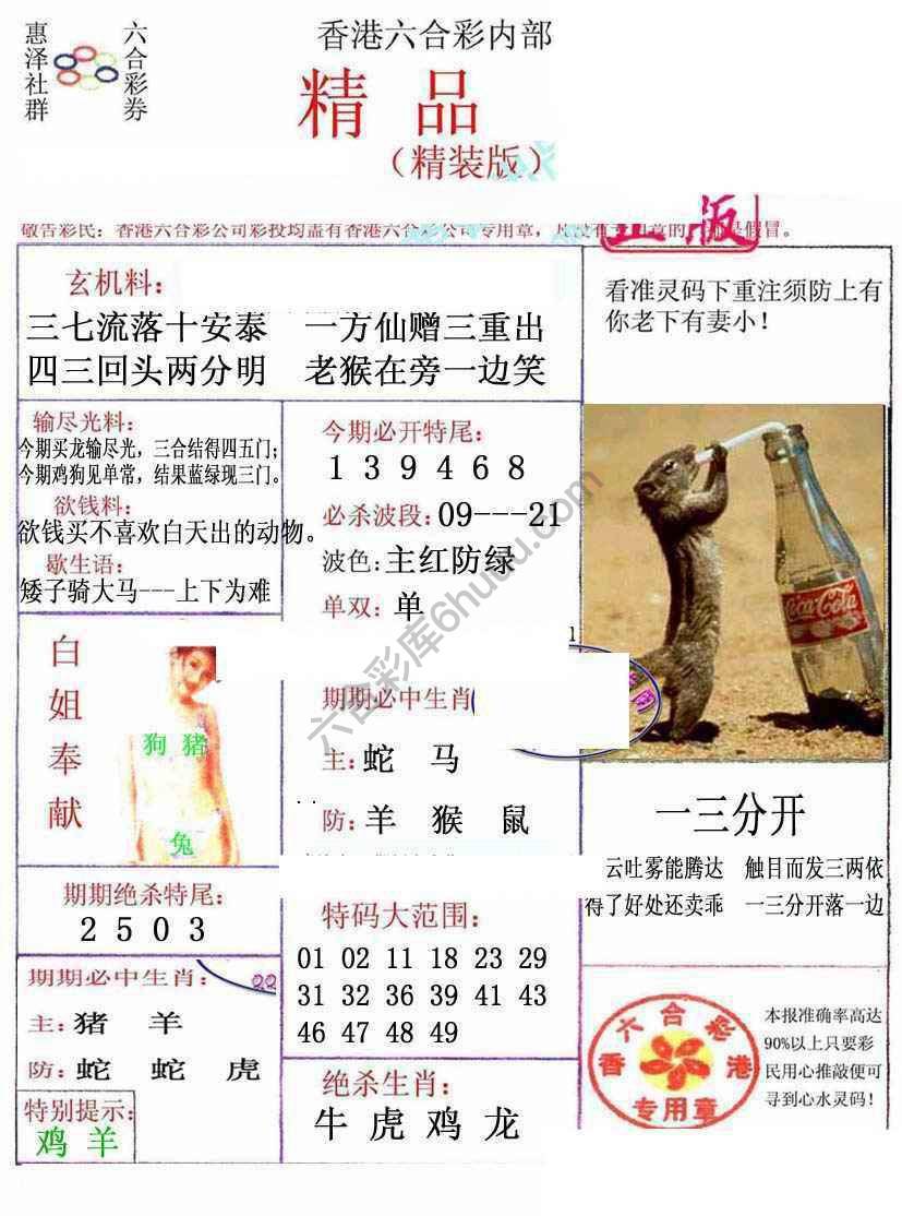 新精品报