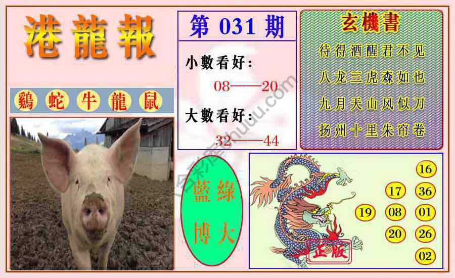 港龙报