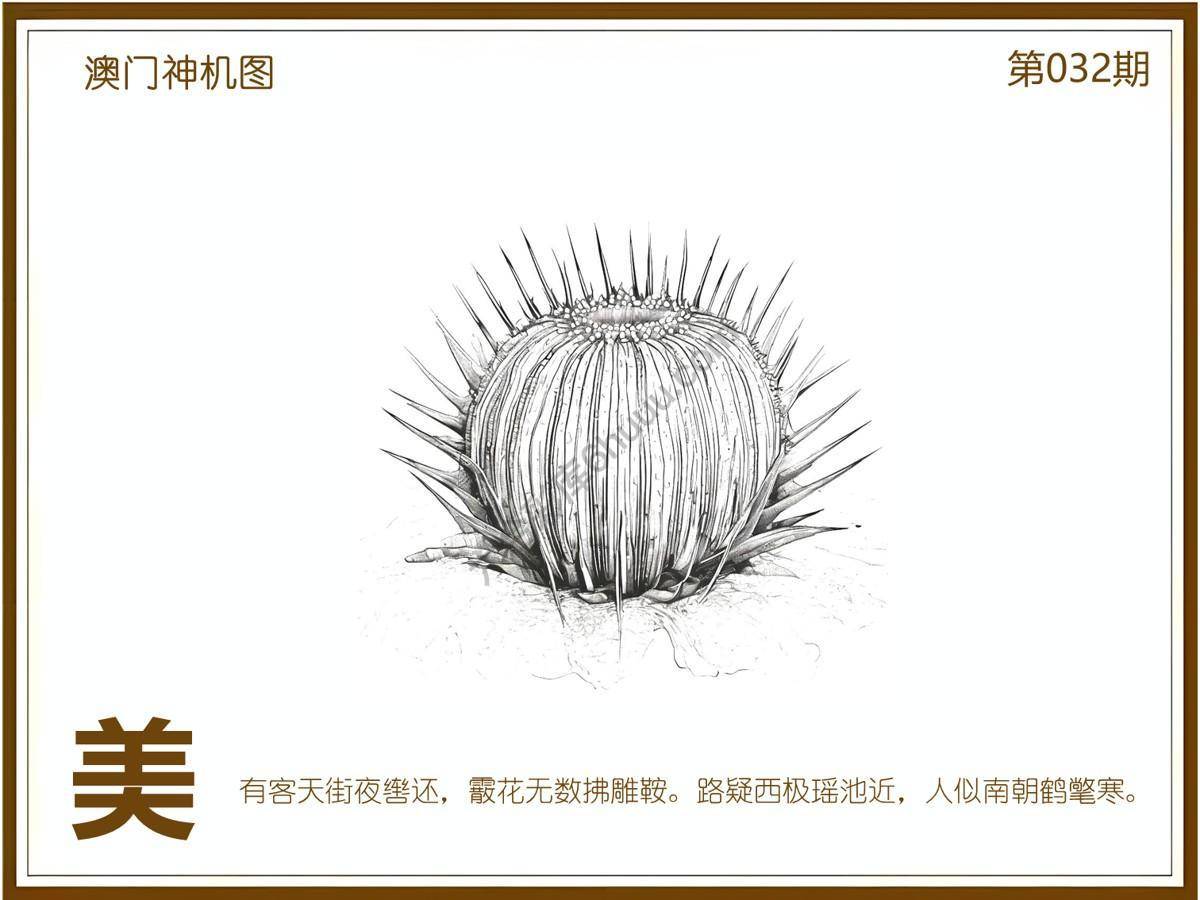 澳门神机图
