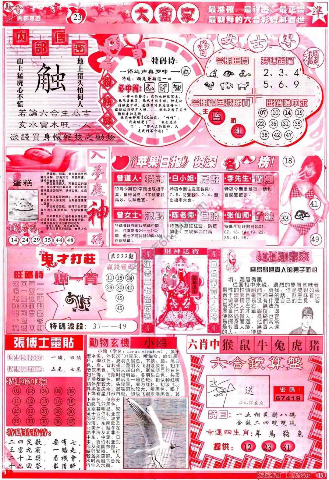 大当家