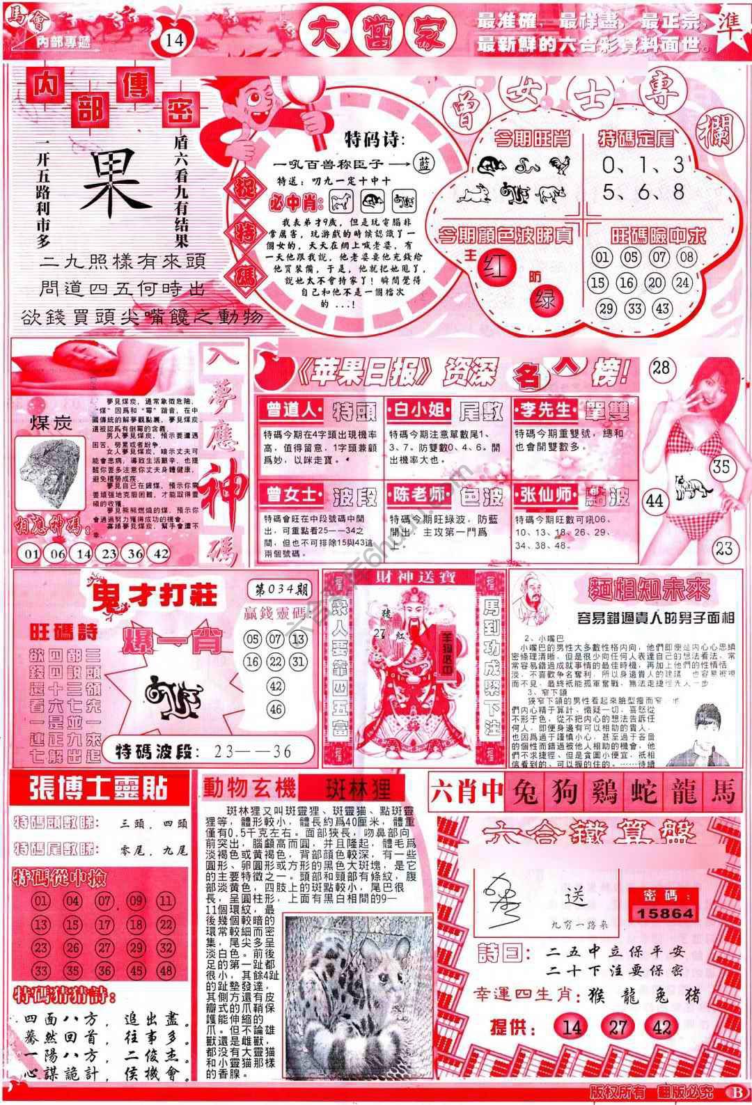 大当家