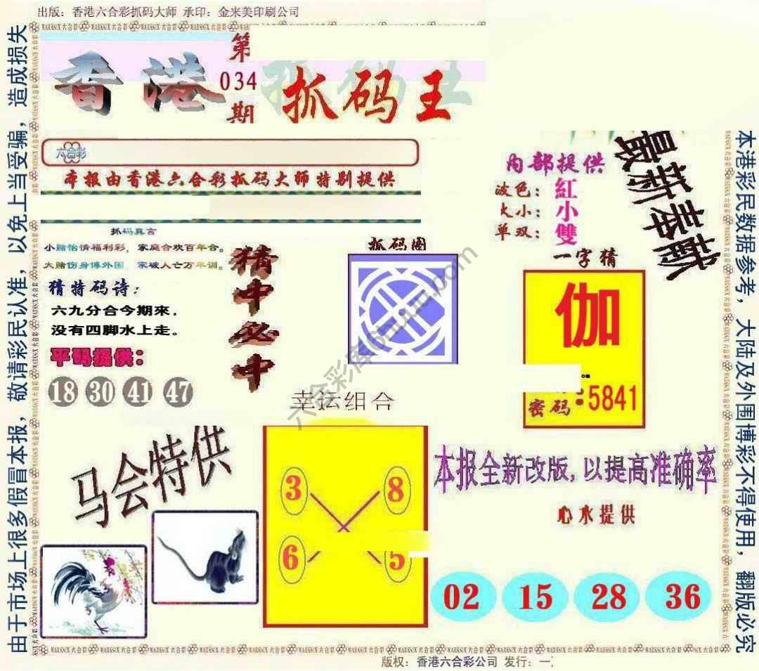 新抓码王