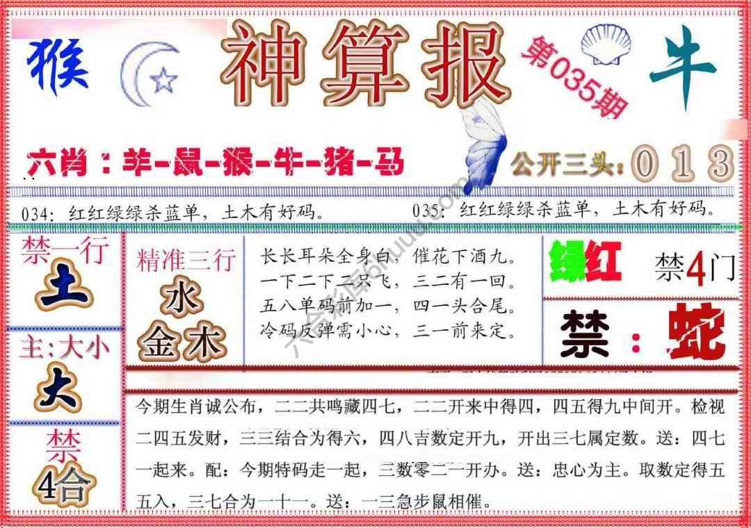 神算报新版