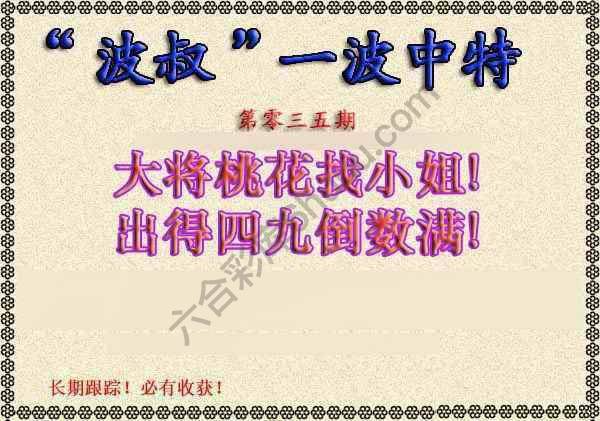 波叔一波中特