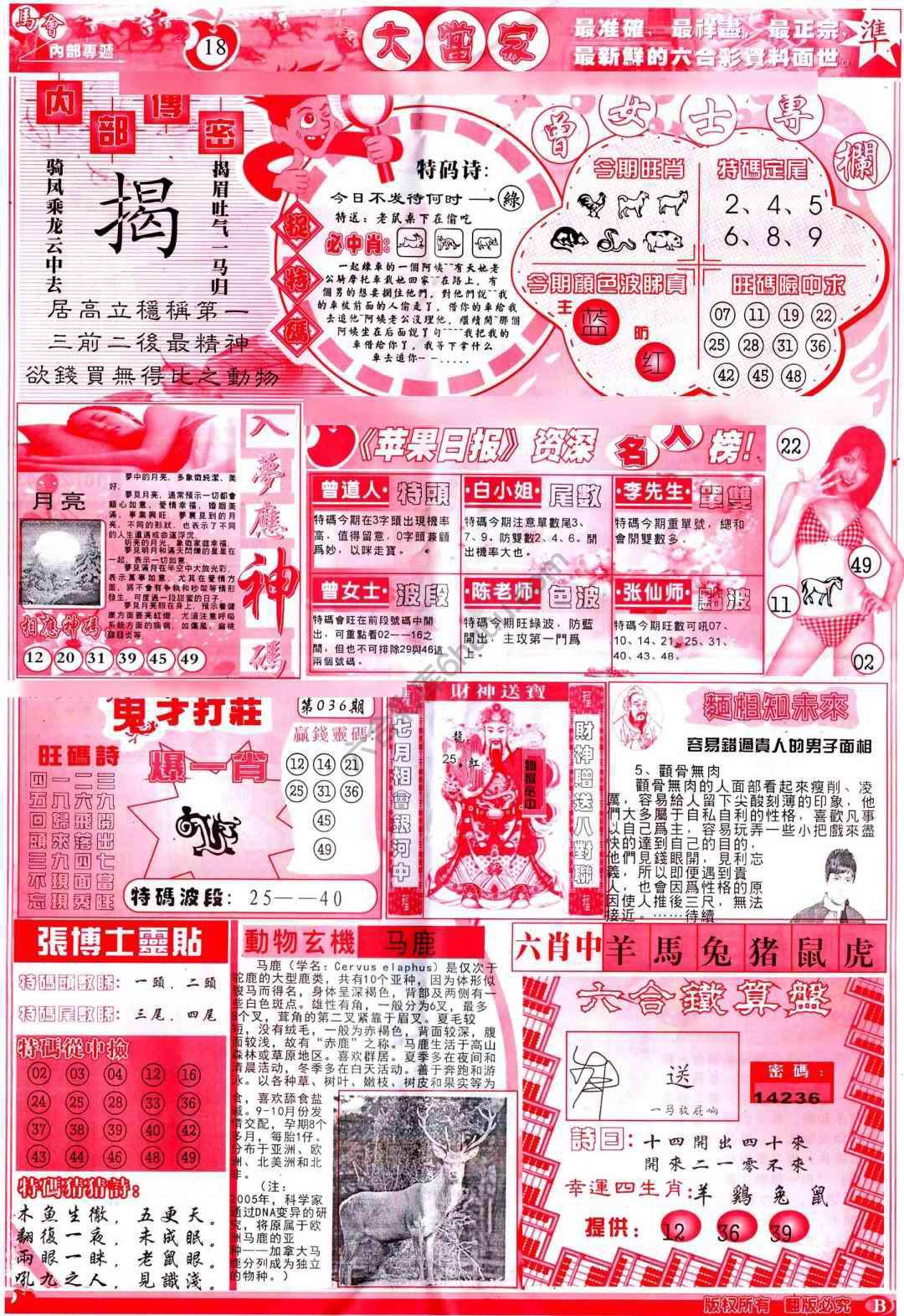 大当家