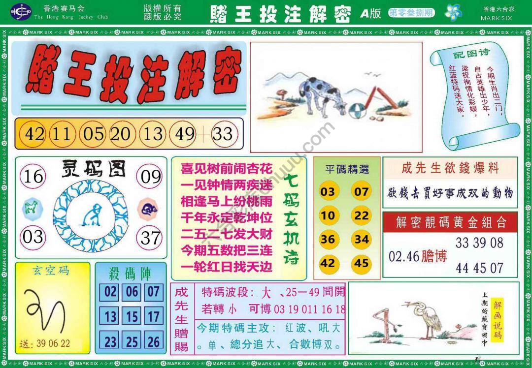 赌王投注解密
