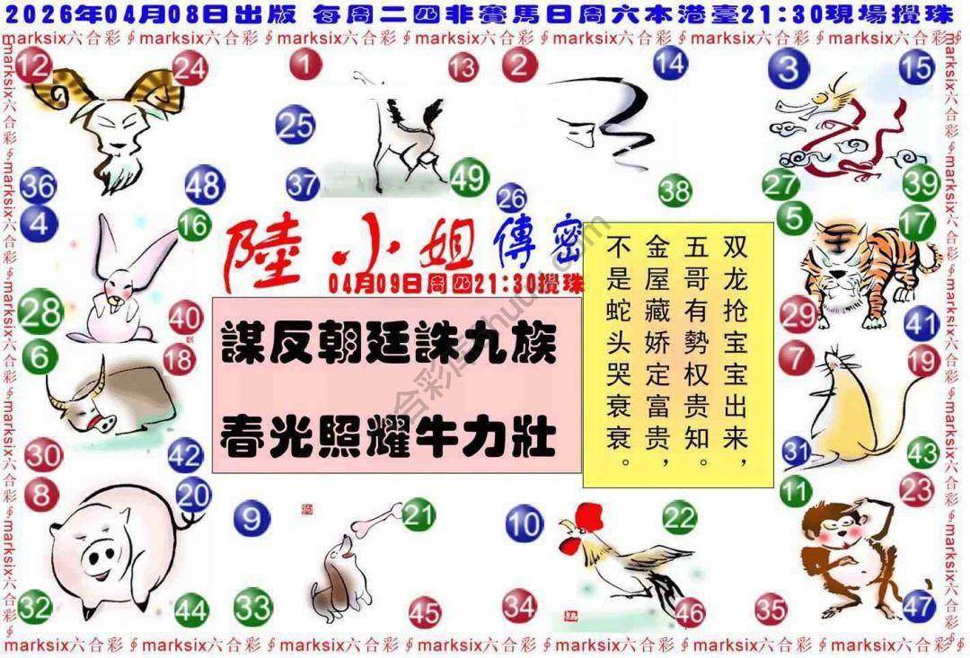 陆小姐传密