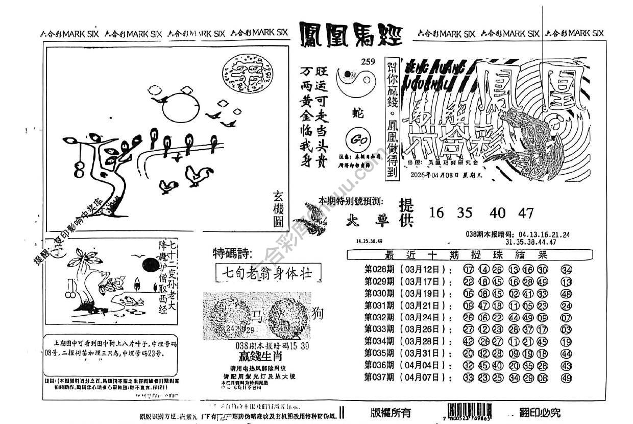 凤凰马经