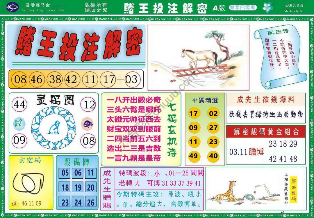 赌王投注解密