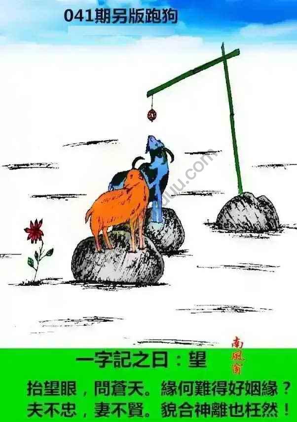 另版跑狗
