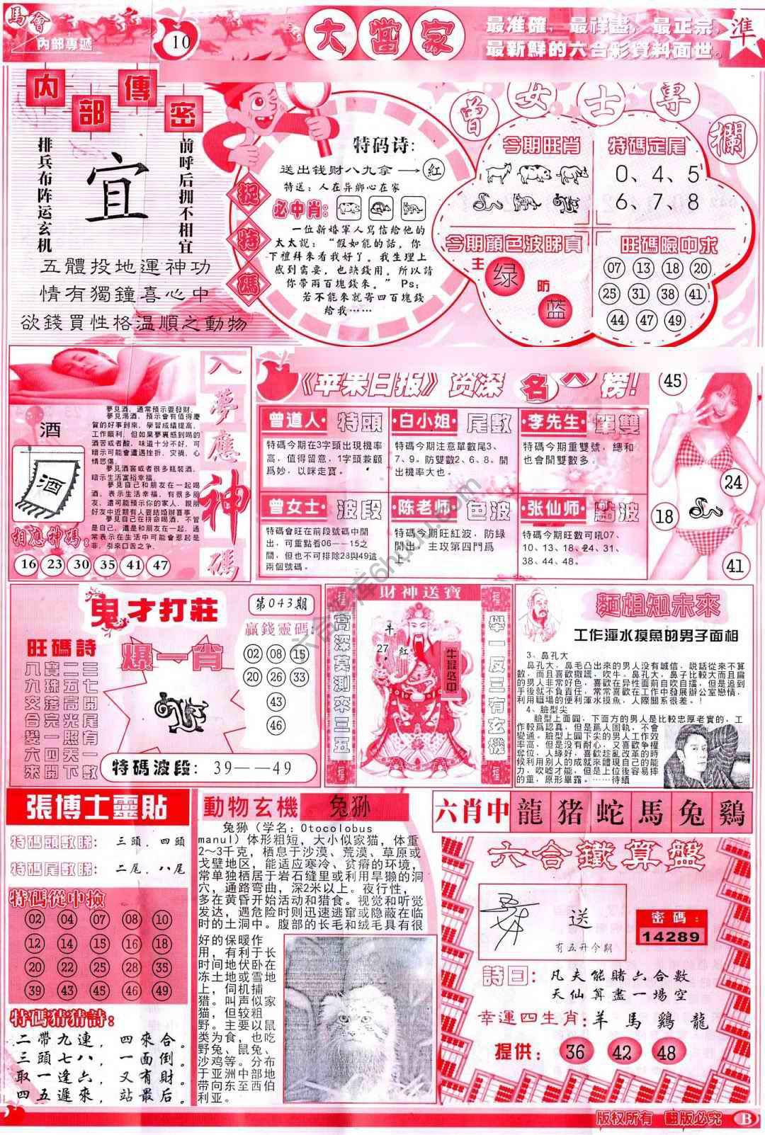 大当家