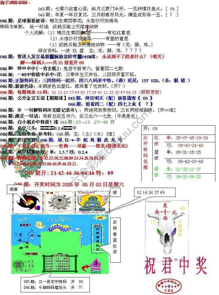 青龙五鬼报