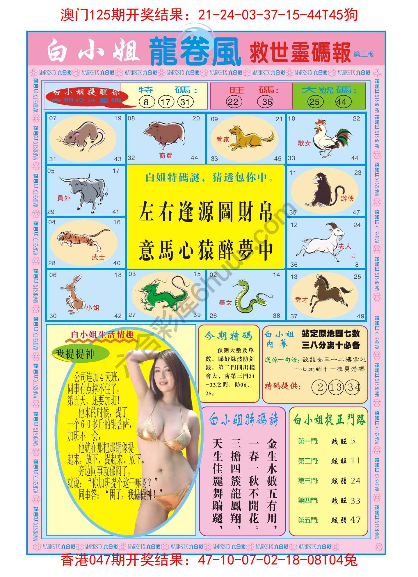 白小姐救世灵码报