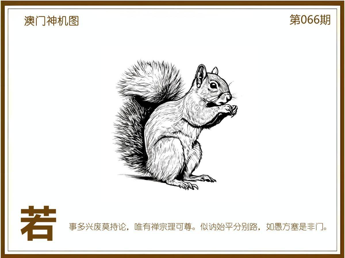 澳门神机图