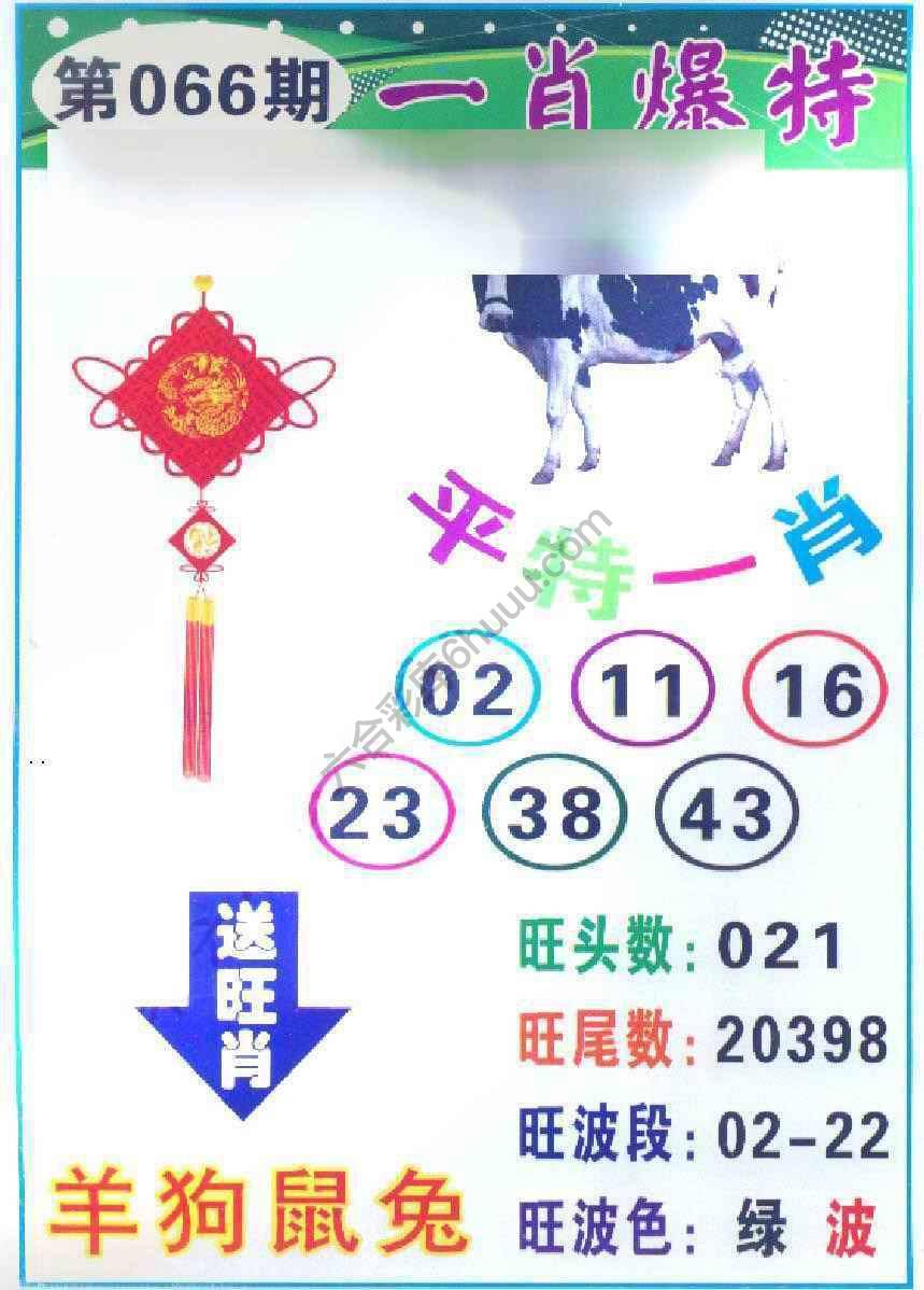 一肖爆特（新版）