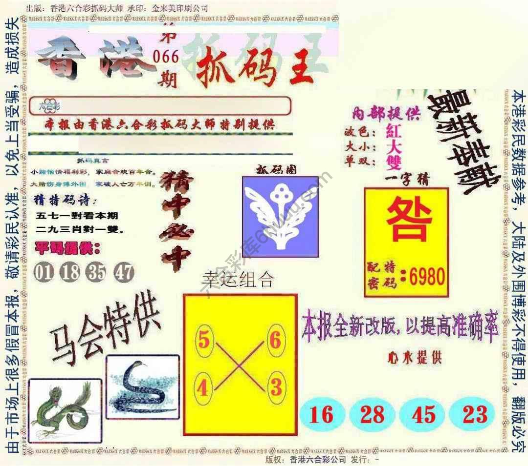 新抓码王