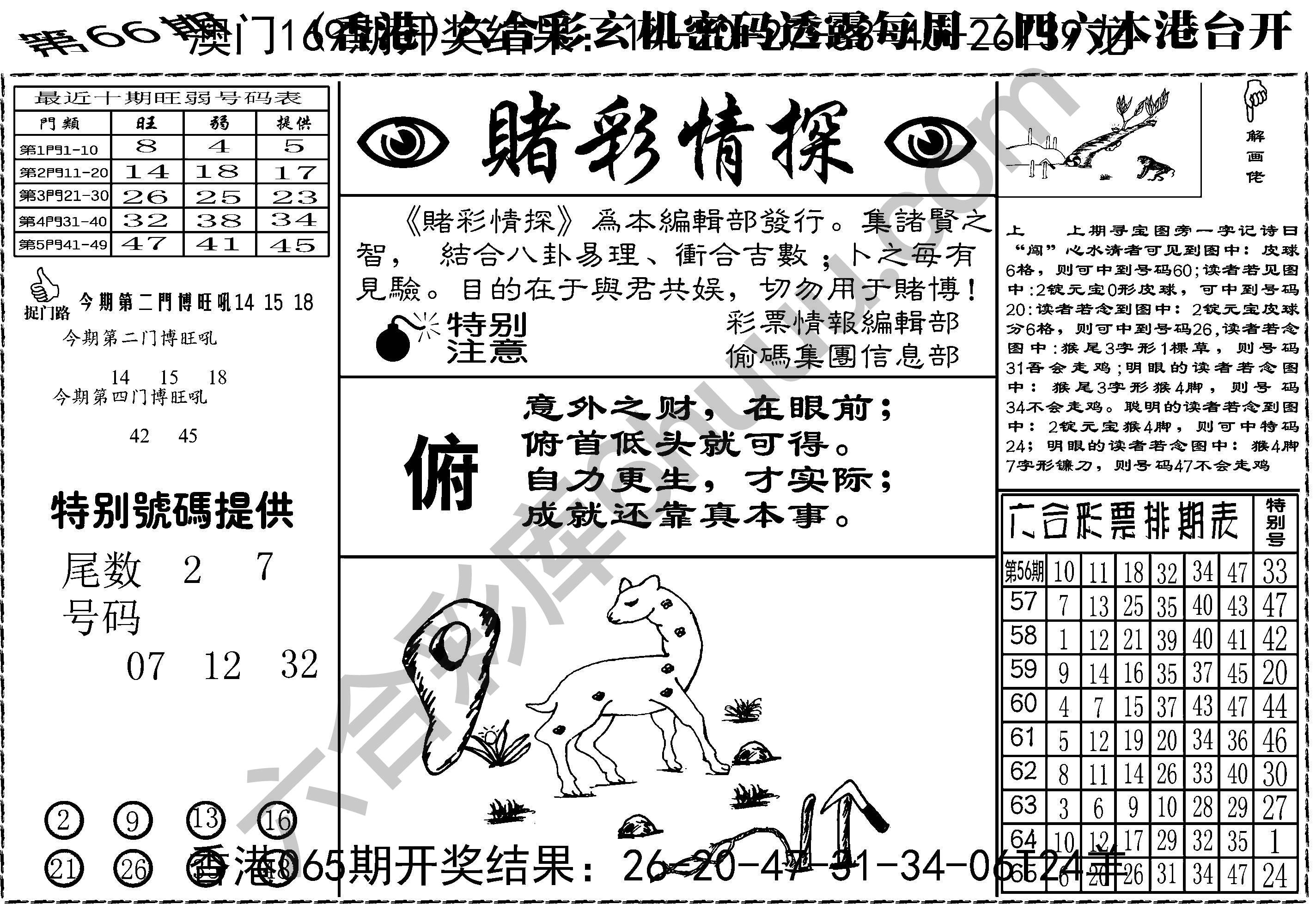 赌彩情探