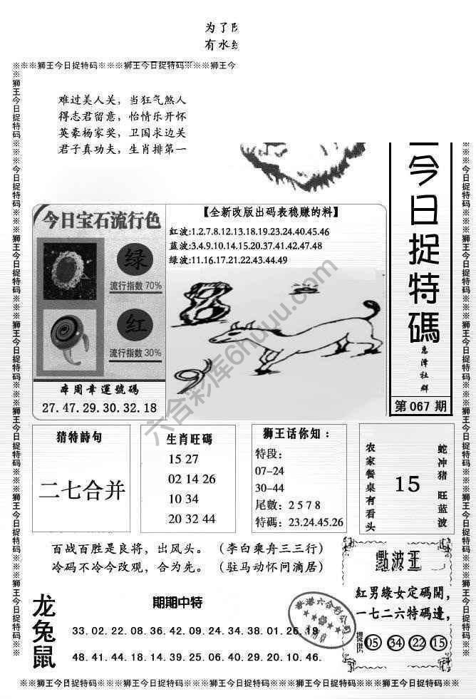 狮王今日抓特码