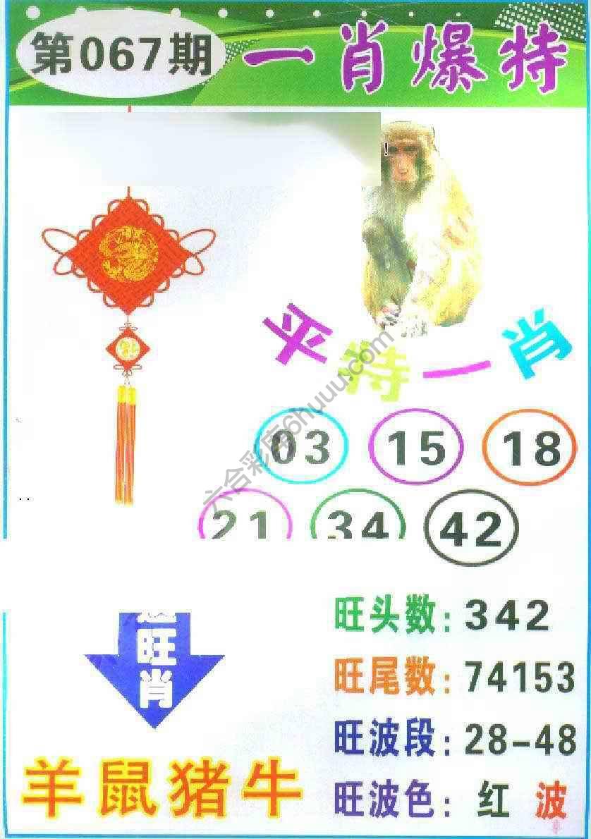 一肖爆特（新版）