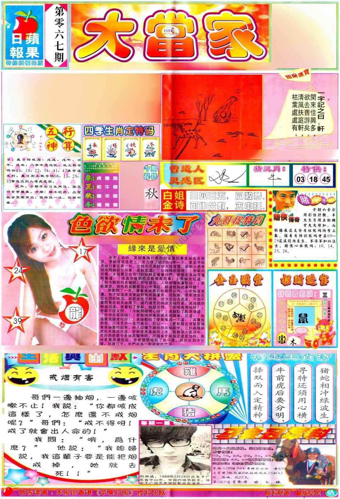 大当家