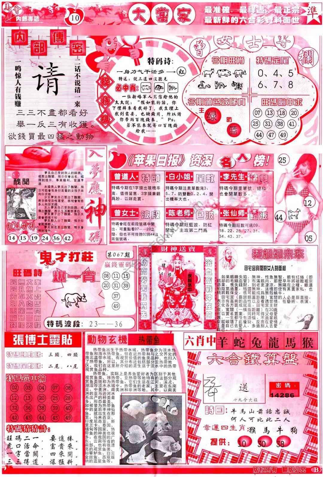 大当家