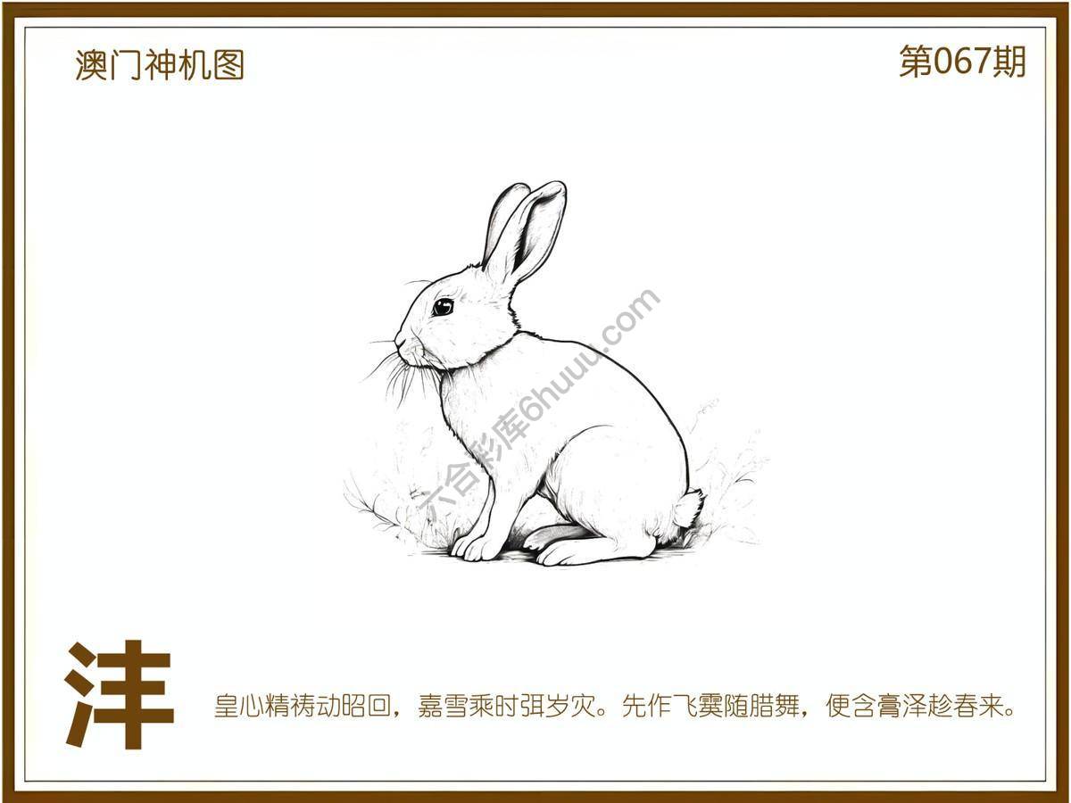 澳门神机图