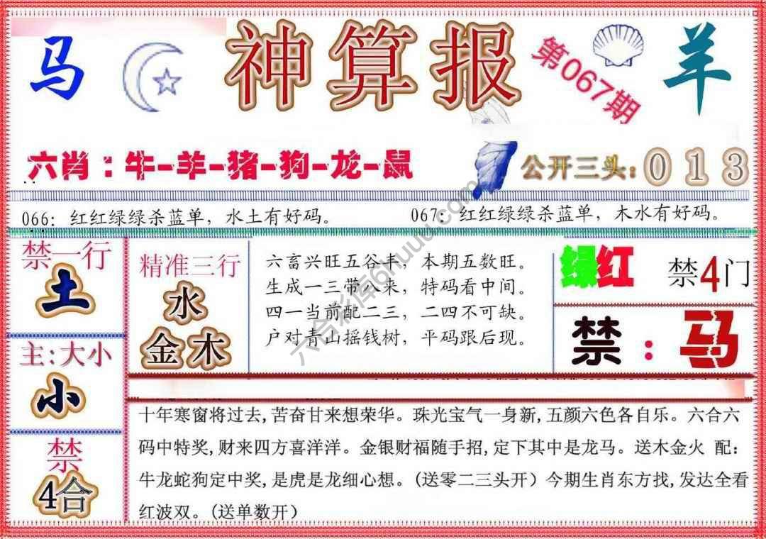 神算报新版