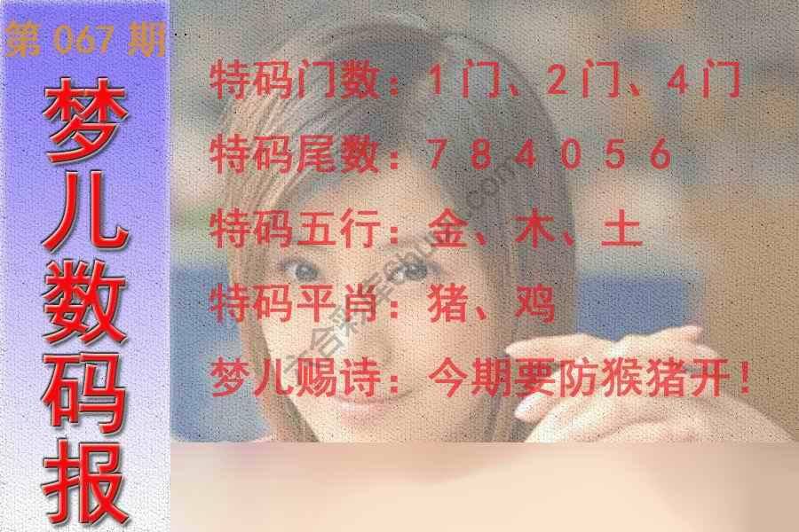 梦儿数码报