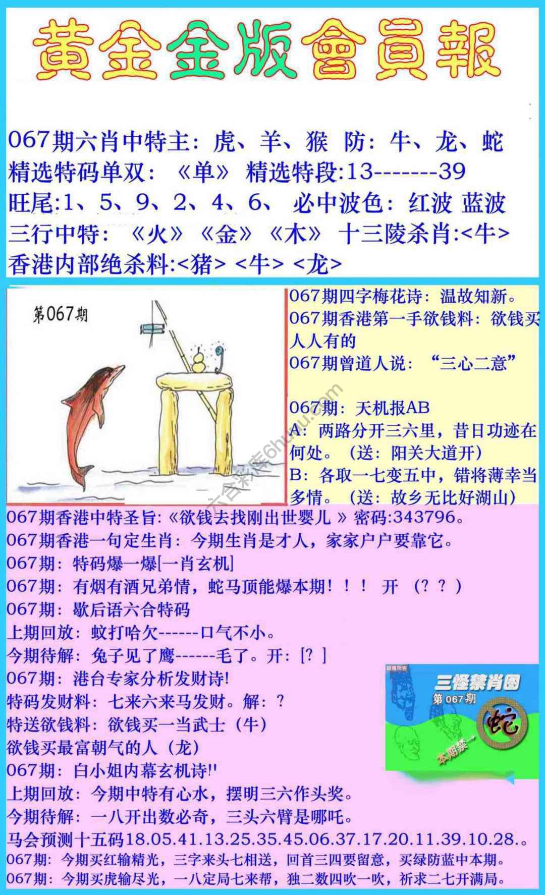 黄金金版会员报