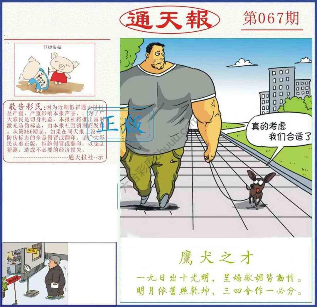 正版通天报