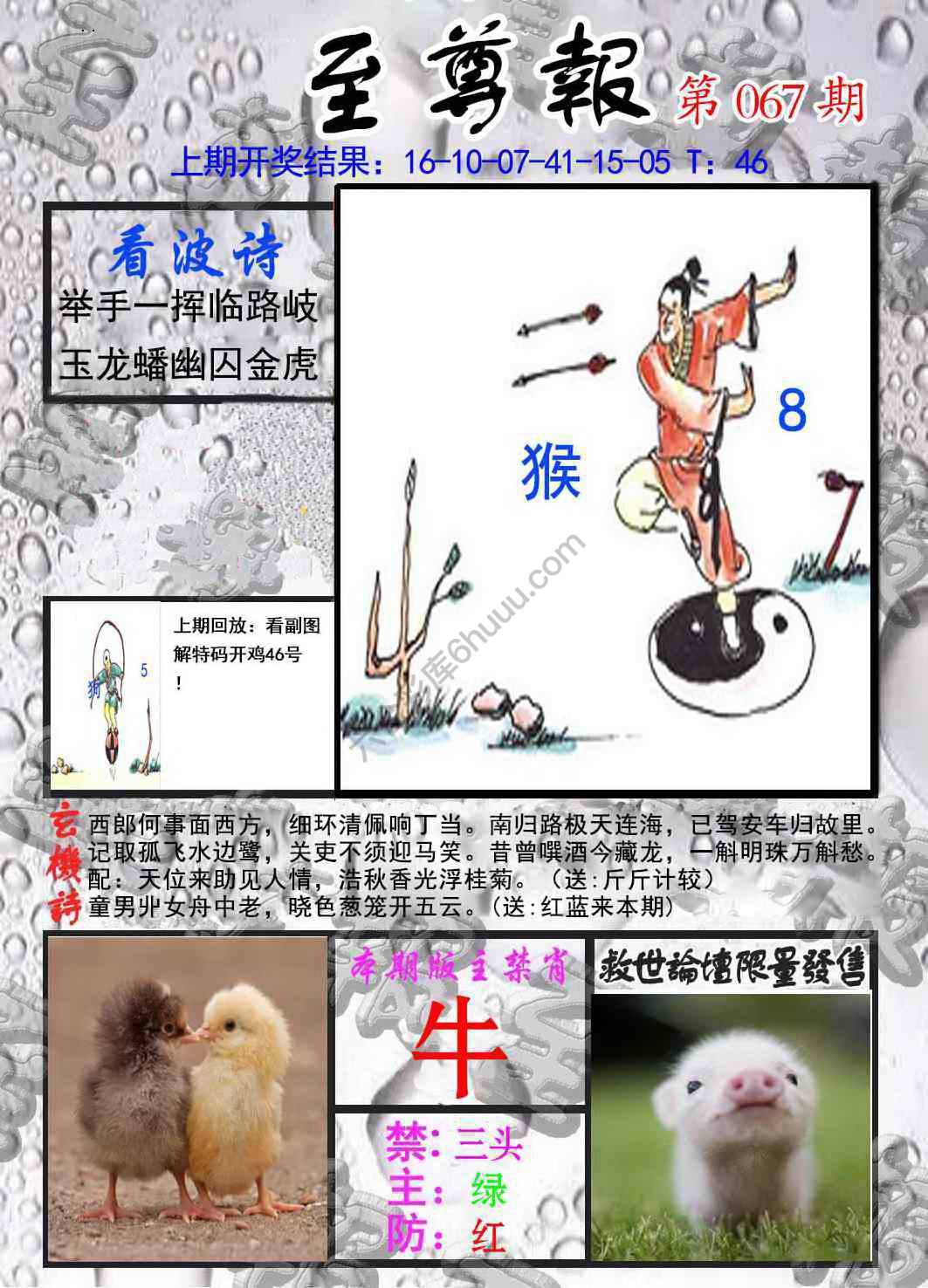 至尊报
