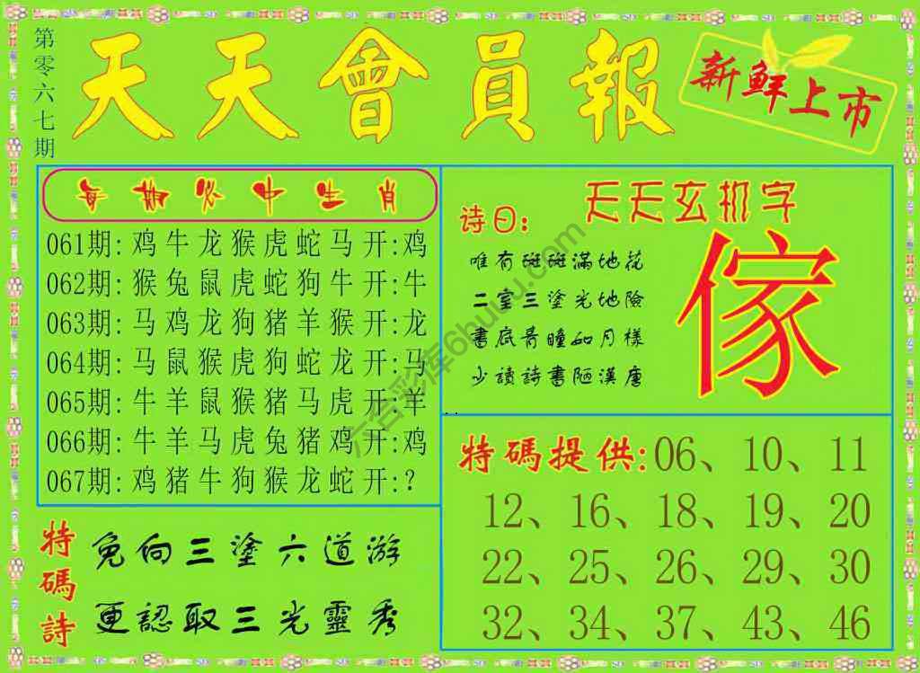 天天会员报