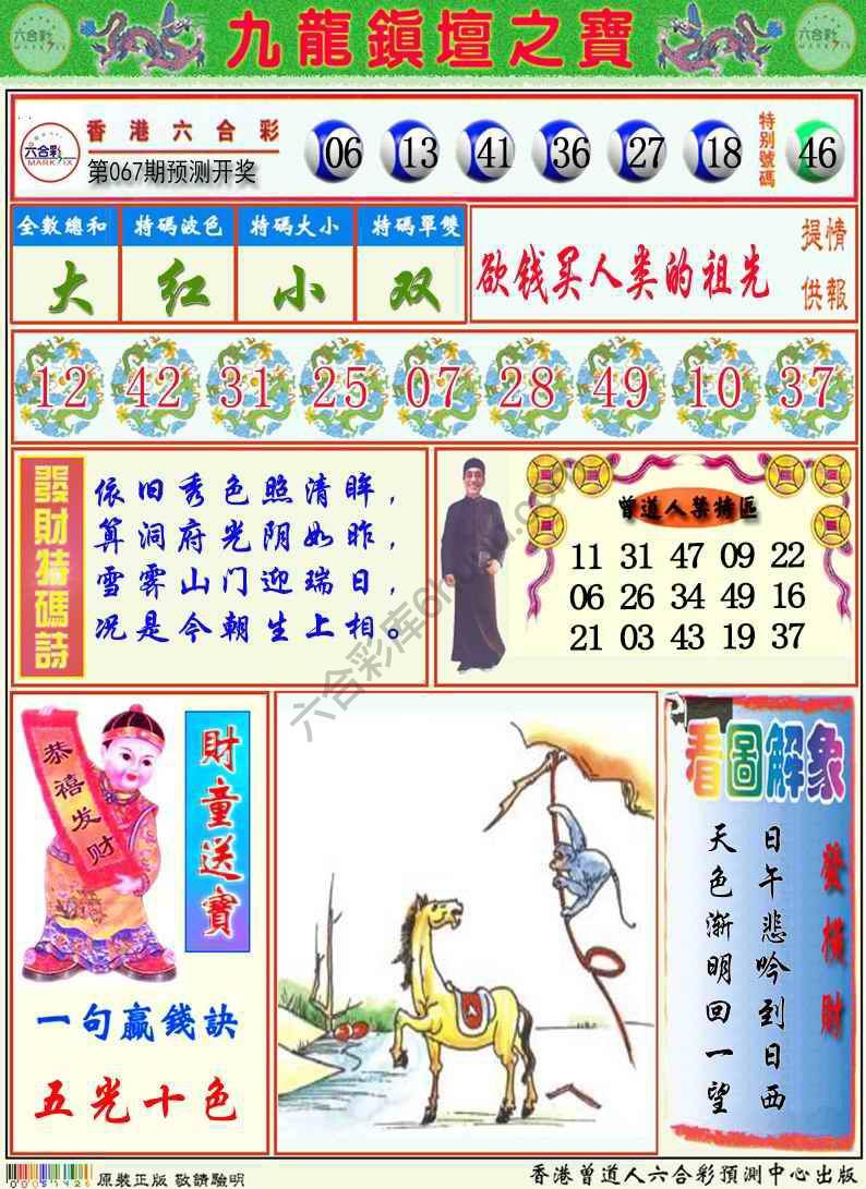 九龙挂牌解特码