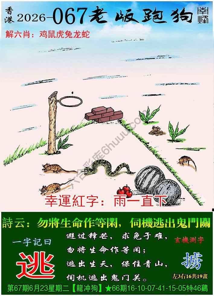 老版跑狗图